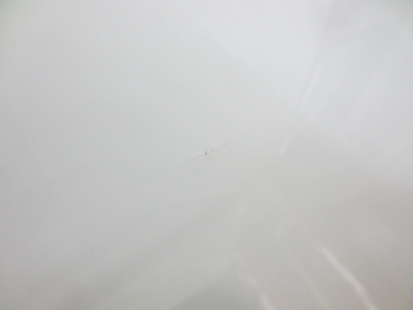 Coalesse Bob 30-in Round Glass Top Coffee Table