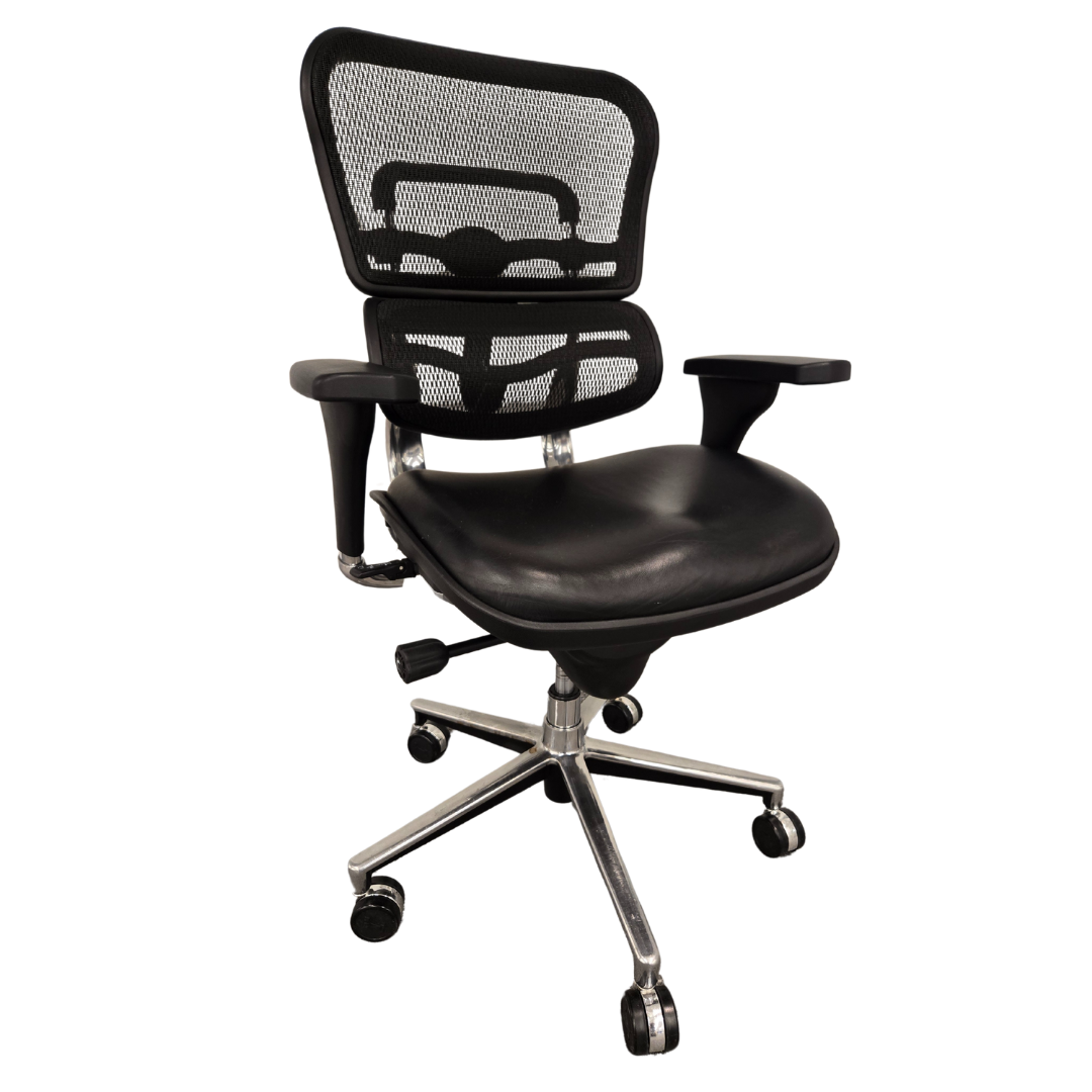 Eurotech Ergohuman Executive Office Chair
