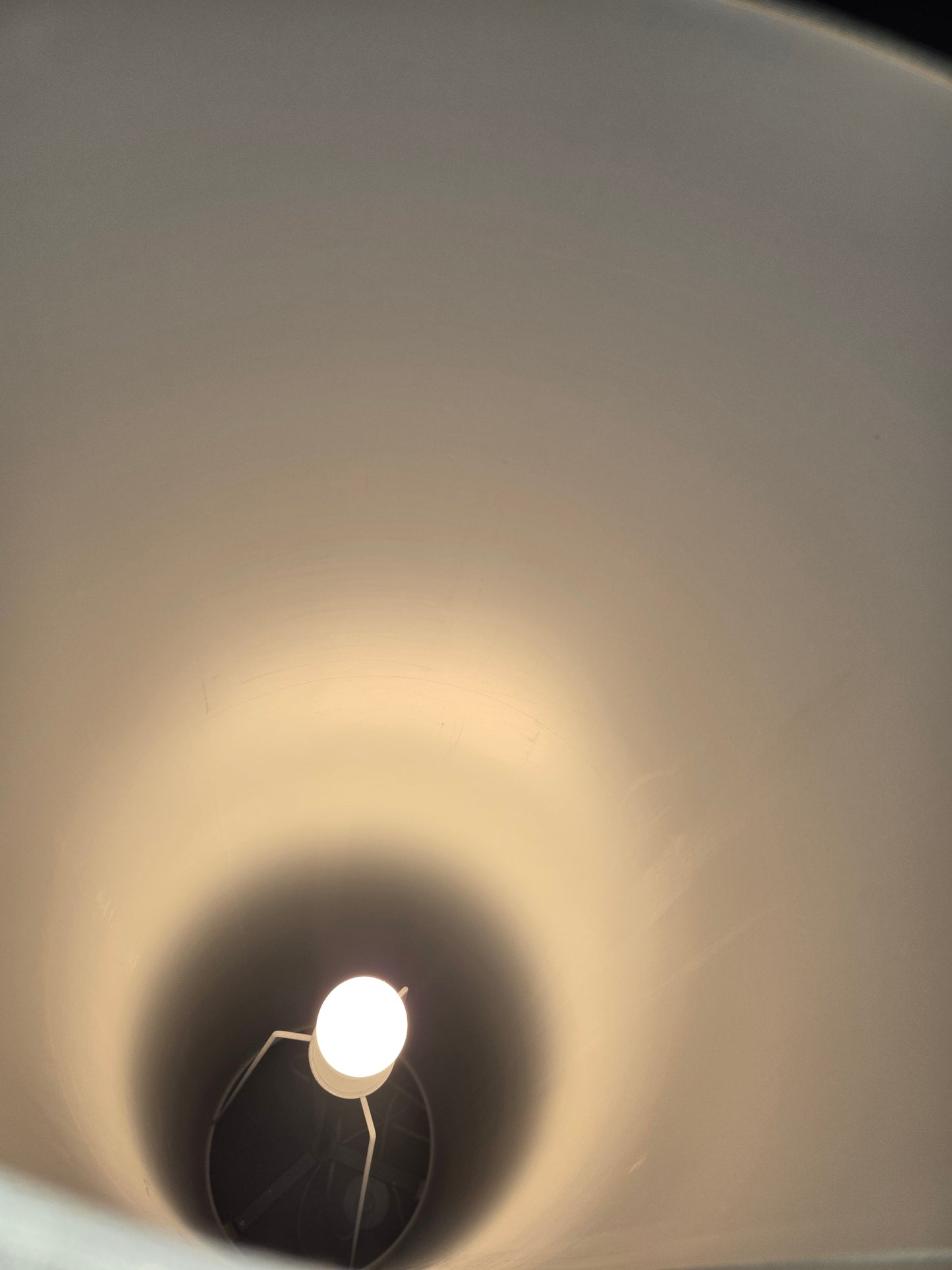EQ3 Tube Floor Lamp with Oak Base