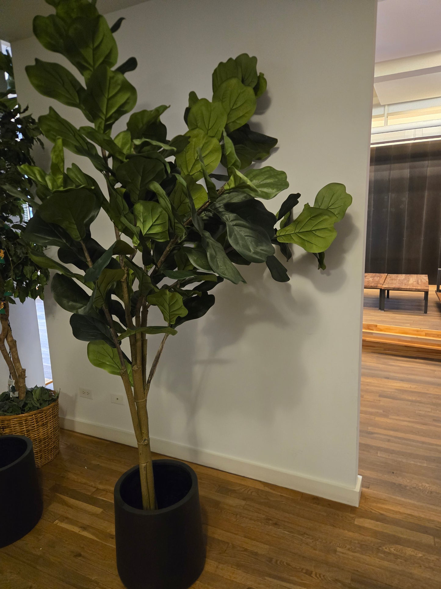 Crate & Barrel Faux 7-ft Fiddle Leaf Fig Tree