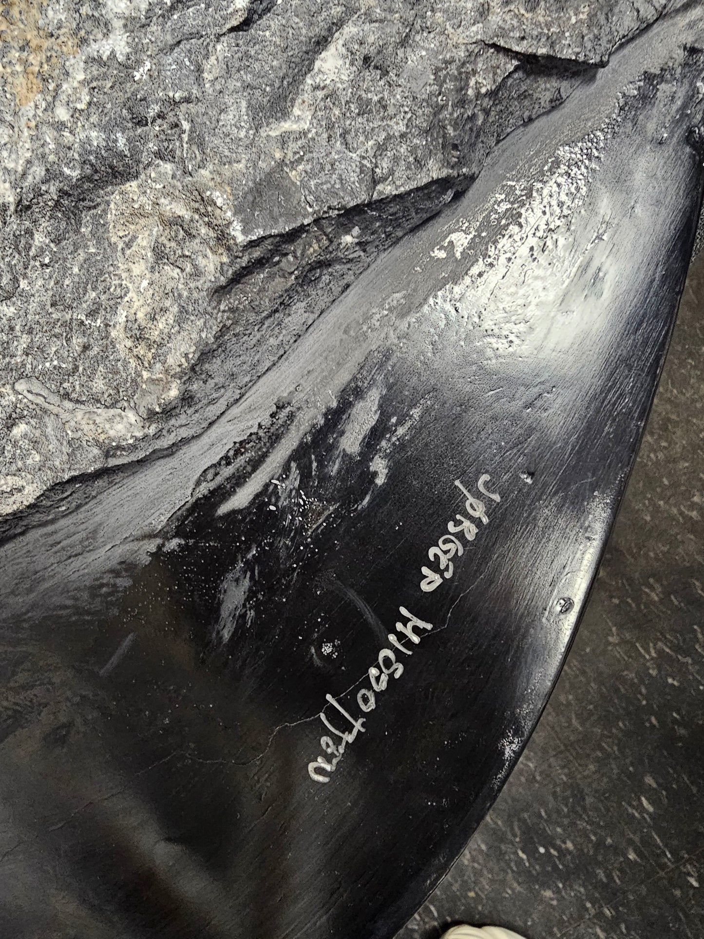 Jørgen Missotten Black Lagune Sculpture