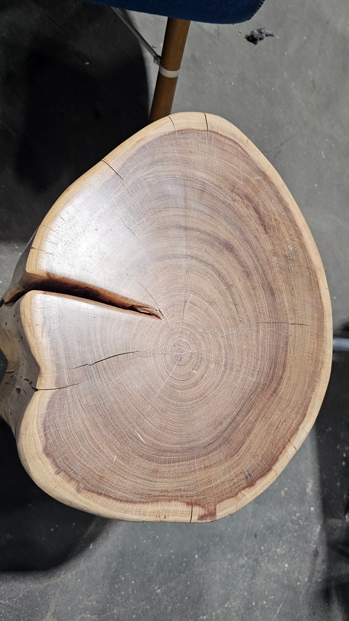 Solid Wood Tree Stump Mobile Side Table in Natural Light Wood
