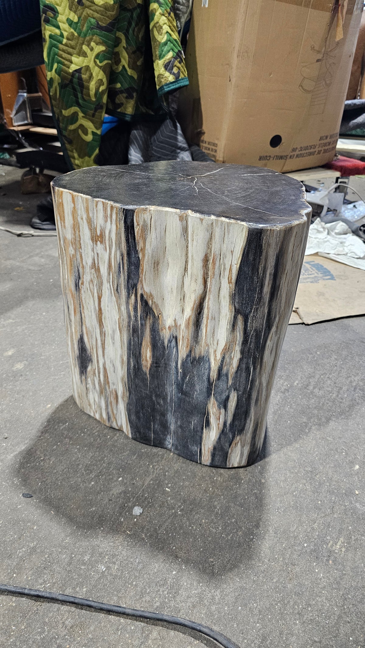 Solid Wood Tree Stump Side Table in Charcoal Black