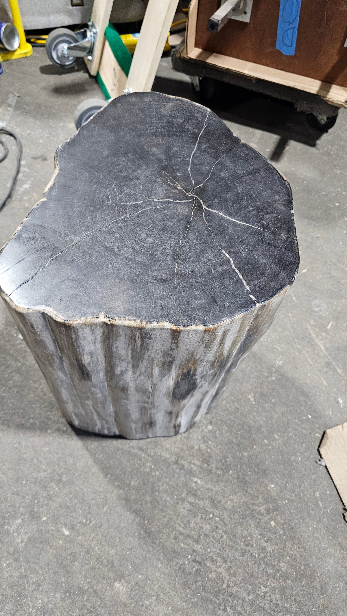 Solid Wood Tree Stump Side Table in Charcoal Black
