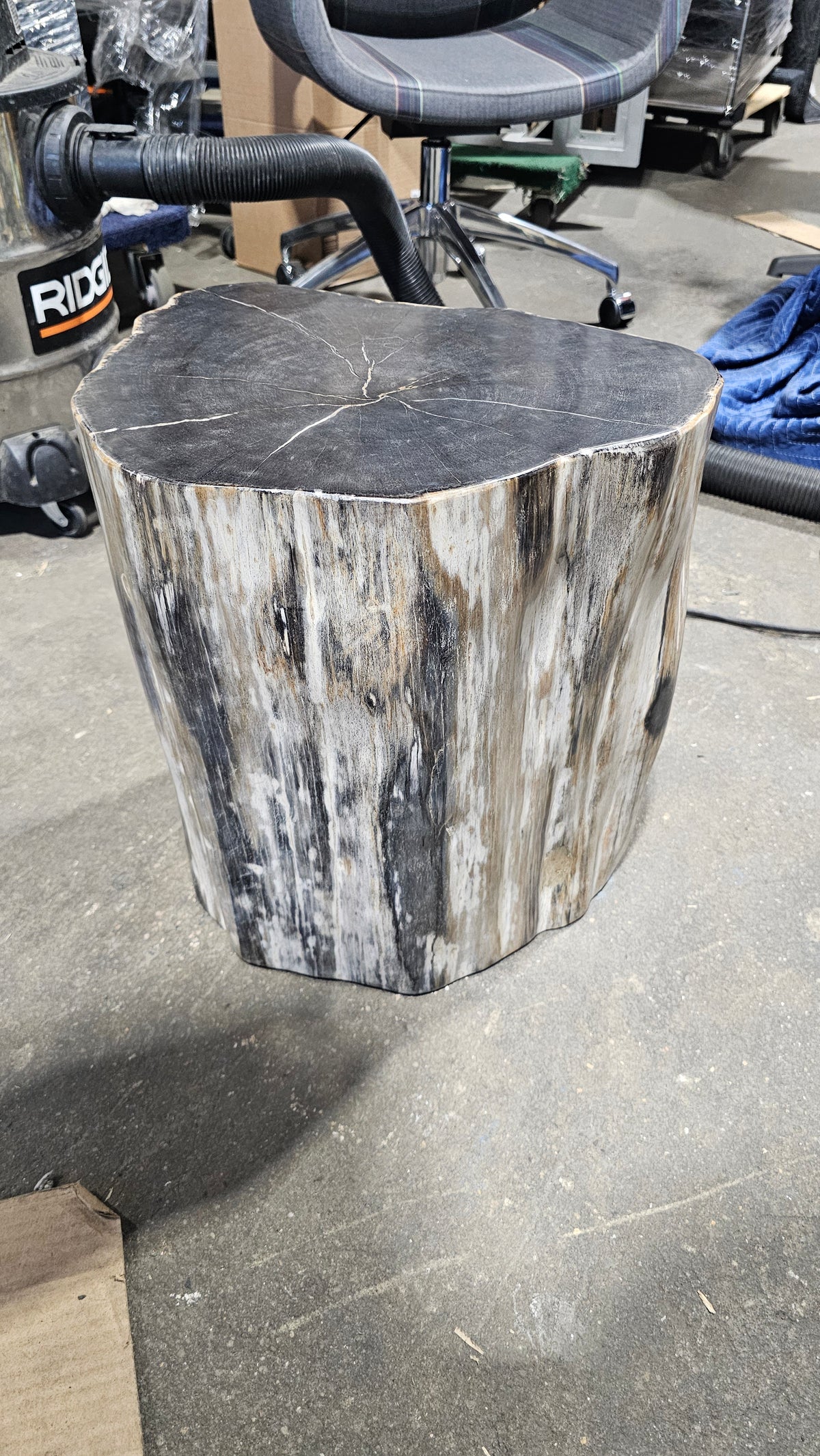 Solid Wood Tree Stump Side Table in Charcoal Black