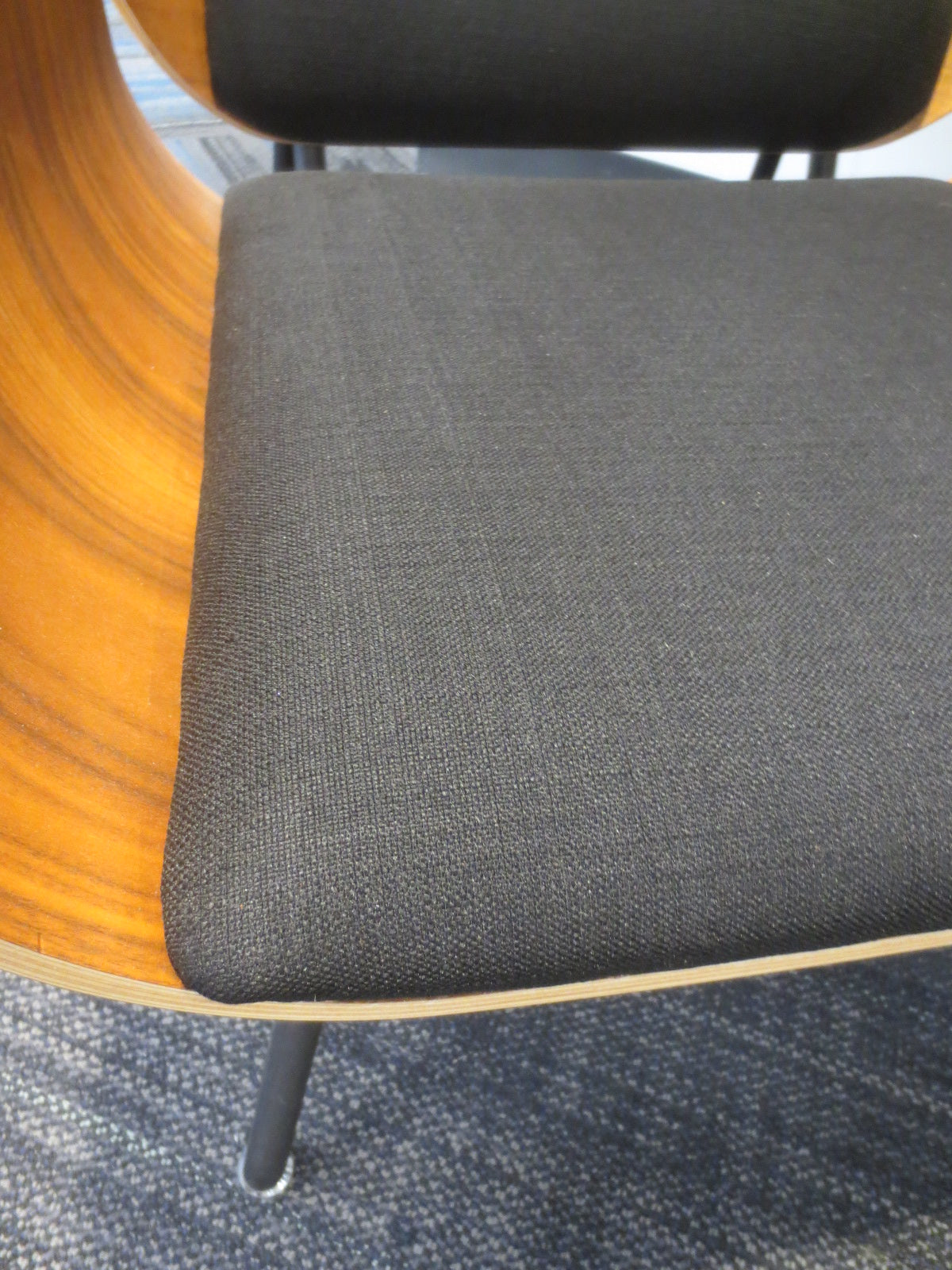 Gus Modern Elk Lounge Chair