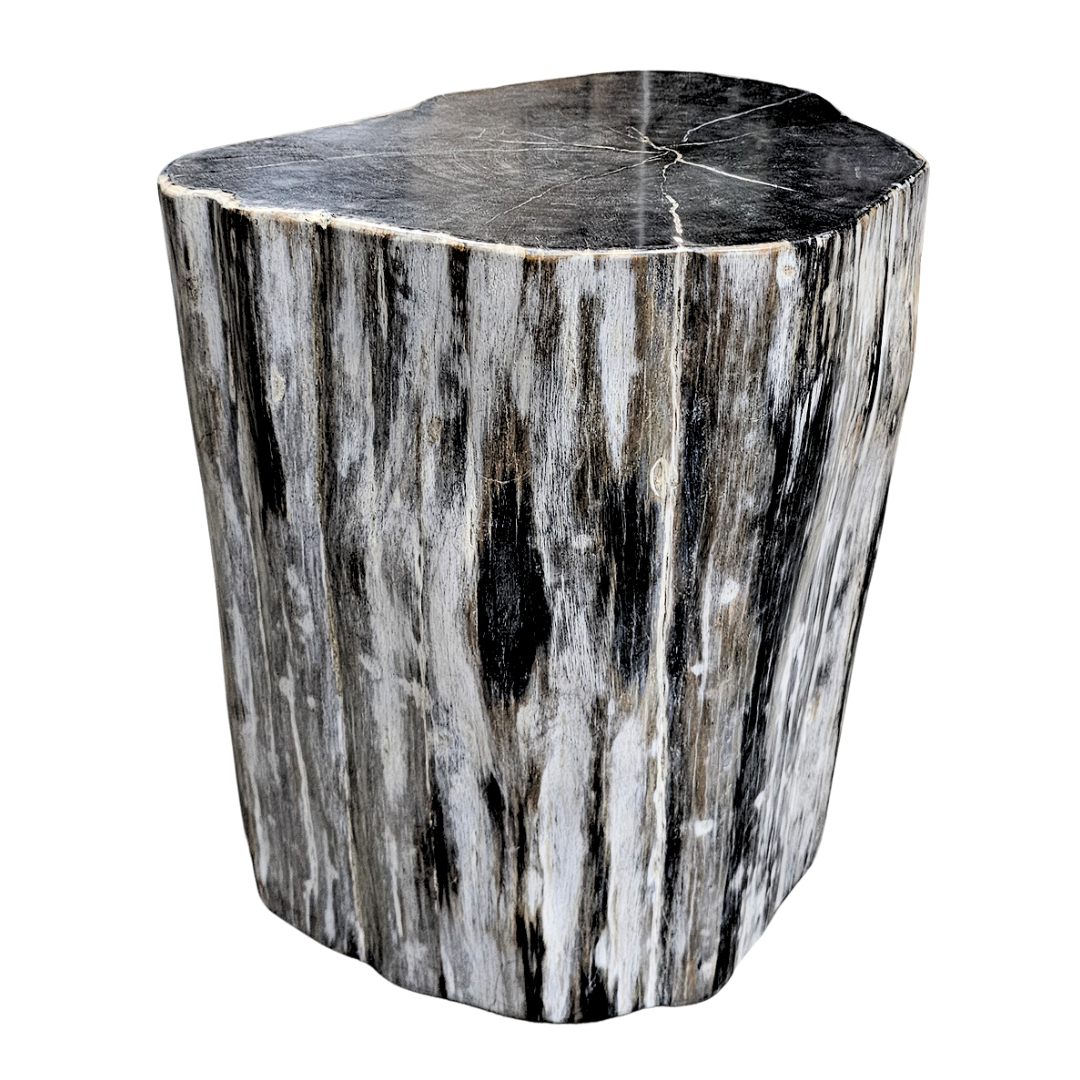 Solid Wood Tree Stump Side Table in Charcoal Black