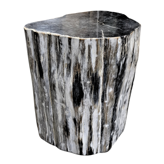 Solid Wood Tree Stump Side Table in Charcoal Black