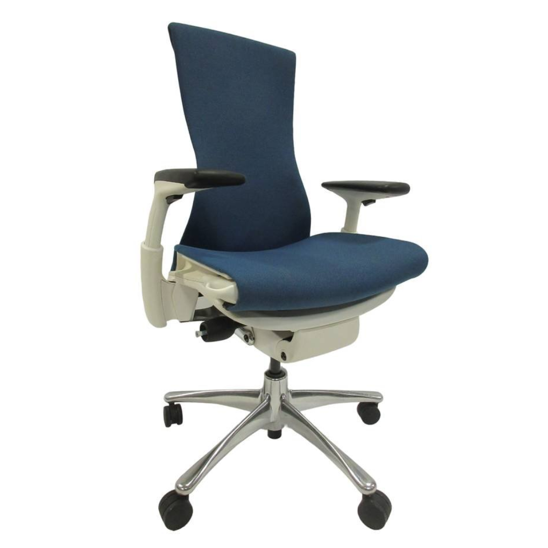 Herman Miller Embody Chair (Noticeable Wear)