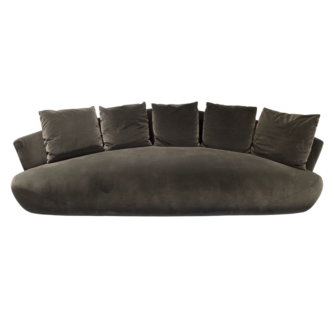 Giorgetti Solemyidae Sofa
