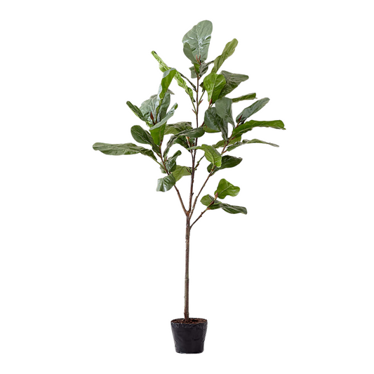 Crate & Barrel Faux 7-ft Fiddle Leaf Fig Tree (New in Box)
