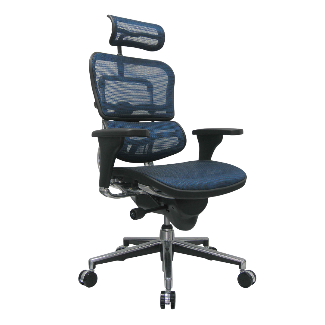 Eurotech Ergohuman High Back Executive Chair in Blue Mesh, ME7ERG-GEN1 (New)